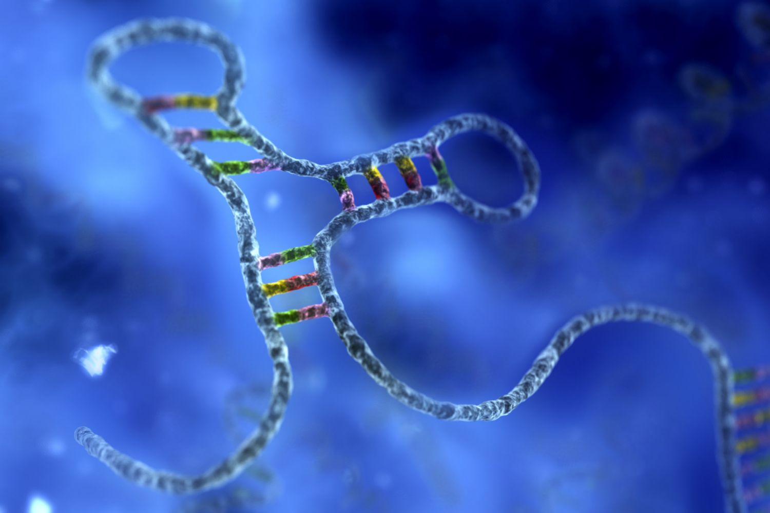RNA زیست فناوران رنا